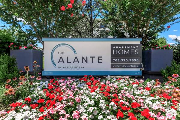 $2,110 / 2br - 915ft2 - 2BD 1BA, Carpeted Floors, Public Parks Nearby (4820 Kenmore Avenue, Alexandria, VA)64040193273219123