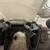 2 Suzuki motorcycles and parts 14 thumbnail