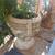 PAIR concrete urn planters 2 thumbnail