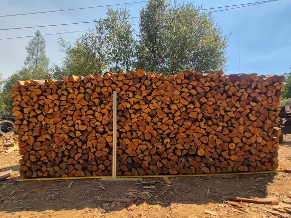 Fir/pine 1