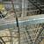 3 Vintage Milk Crates: Rectangle 6 thumbnail