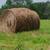 Hay for sale 2 thumbnail