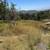 Farm land for rent 1 thumbnail