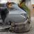 Auto body and paint affordable 3 thumbnail