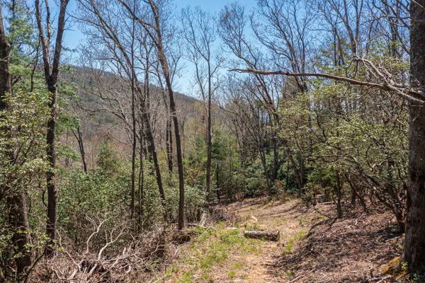 $89,999 Land ONLY! Fairview Forest Dr. (Fairview)64029373411841123