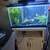 30 gallon fish tank 2 thumbnail