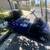 Golf Cart Repair 16 thumbnail