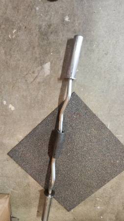 Olympic curl bar 1