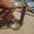 Vintage Seiko Chronograph Quartz Sport 100 3 thumbnail