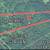 36 acres of woods for your recreation needs 5 thumbnail