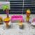 Shopkins Rainbow Ranch - Lounging Around With Pineapple Lily 1 thumbnail