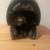 CKX MODULE HELMET 2 thumbnail