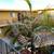 Newly Updated Upper Unit  2BD & 1 BTH    MOVE IN SPECIAL!! 12 thumbnail