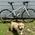Trek 2019 FX4 Sport Bicycle 1 thumbnail