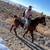 Horse 2 thumbnail