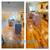 CLEANING SERVICES ,MOVE IN OUT,POST CONSTRUCTION,OFFICES AND MORE 8 thumbnail