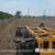 Forestry mulching/ Land Clearing (956)715-7991 7 thumbnail