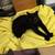 Friendly Rescue Cat Looking for a Home (North Wilmington) 3 thumbnail