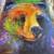 "Up Close & Personal" by Linda Israel 2 thumbnail