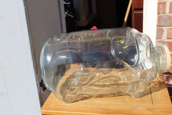 very large glass coin piggy bank pig this little piggy went to market 1