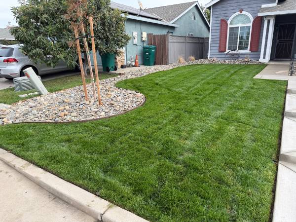 Yard Service,Tree Trimming & Complete clean ups! 1