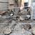 Jumpbo Coturnic baby quails 2 thumbnail