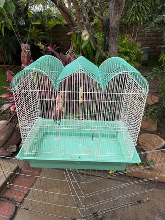 BIRD CAGE 1