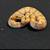 Baby boy ball pythons 1 thumbnail