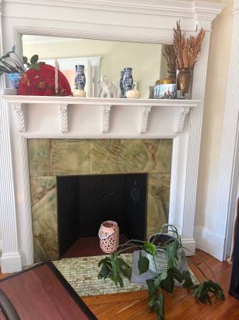 $1,400 / 2br - Cozy room in charming Coolidge corner apartment (Brookline)63931250195458124