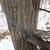 Lone Wolf Climbing Tree Stand 5 thumbnail