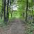 1.9 acres | Year-round brook | Septic & well | 24' x 24' Garage 14 thumbnail