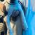 Pitbull puppy in need of home 6 thumbnail