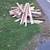 CURBSIDE Free reclaimed lumber from pallets 1 thumbnail
