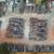 Rare Discontinued MCA Mission Roof Tiles~ Over 30 squares! (Rio Linda 12 thumbnail