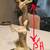Decorator items, metal and glass.  Wine glasses & more, Vases. Great! 12 thumbnail