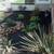 LANDSCAPE DESIGN, CONSUTATIONS AND INSTALLATION  BY HORTICULTURIST! 14 thumbnail