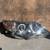 2012-2014 Toyota Camry Passenger Right Headlight 1 thumbnail