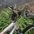 Cannondale Scalpel 2000 Alloy & Carbon Fiber Full Suspension bike 5 thumbnail
