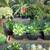 Closing Nursery : Big Sale. Open 12 - 4 p.m. in Capitola 15 thumbnail