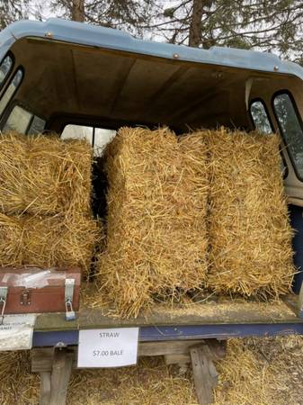 Straw For Sale 1