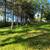 Peaceful rural home 11 thumbnail