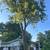 SL landscaping & Tree service 4 thumbnail