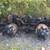Mack parts and 10’ dump body 2 thumbnail