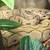 Downsizing reptiles 1 thumbnail
