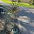 Rustic Outdoor Steel Sunflower Yard/Garden Art 4 thumbnail