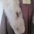 Vintage Fur Coat 3 thumbnail