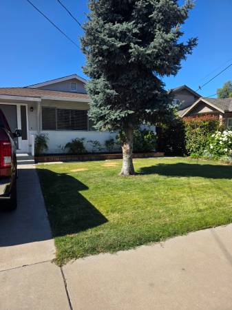 CONCORD  Duplex 1