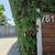 COZY HOUSE WITH POOL, GATED, GRASS FRONT YARD, WASHER DRYER,CENTRAL AC 5 thumbnail