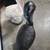 Choice Of Concrete Pelican Garden Statues 5 thumbnail
