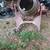 Sears cement mixer 3 thumbnail
